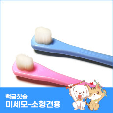 백금칫솔-미세모 (소형견용) 정상가에 하나더 1+1=행사 2개 34,000원